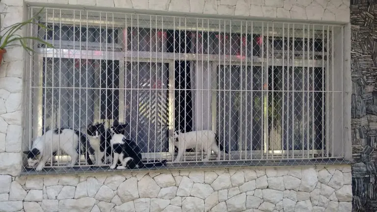Rede de proteção em janela para pets